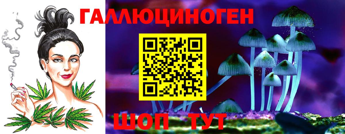 Галлюциногенные грибы Magic Shrooms  Вход с VPN  Дальнереченск 