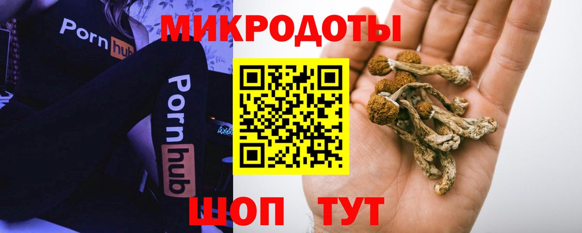 Псилоцибиновые грибы прущие грибы Дальнереченск