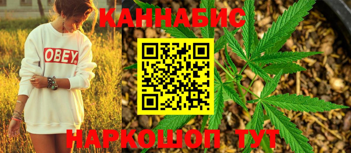 Бошки Шишки семена Дальнереченск